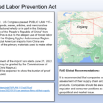 Overview: Uyghur Forced Labor Prevention Act